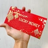 Combo 10 Bao Lì Xì Tết 2.026 Lucky Money - Bao lì xì hình Ngựa, lịch sự, đẹp mắt, sang trọng, phù hợp tặng người thân 6