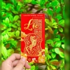 Combo 10 Bao Lì Xì Tết 2.026 - Mẫu Chữ Lộc & Hình Ngựa Đẹp Mắt, Ý Nghĩa, Lịch Sự, Giá 12.720 VND 6
