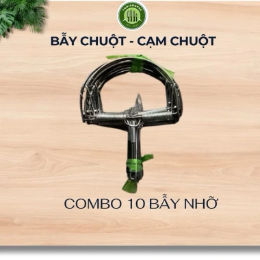 Combo 10 bẫy chuột bán nguyệt lò xo siêu nhạy - Giá chỉ 62.000đ, giảm mạnh