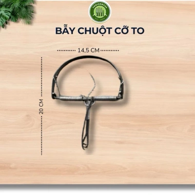 Combo 10 bẫy chuột bán nguyệt lò xo siêu nhạy loại 1 - Giá chỉ 67.000đ, ưu đãi hấp dẫn