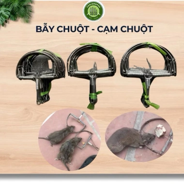 Combo 10 bẫy chuột bán nguyệt lò xo siêu nhạy loại 1 - Giá chỉ 67.000đ, ưu đãi hấp dẫn