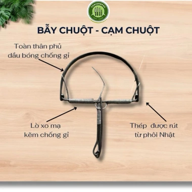Combo 10 bẫy chuột bán nguyệt lò xo siêu nhạy loại 1 - Giá chỉ 67.000đ, ưu đãi hấp dẫn