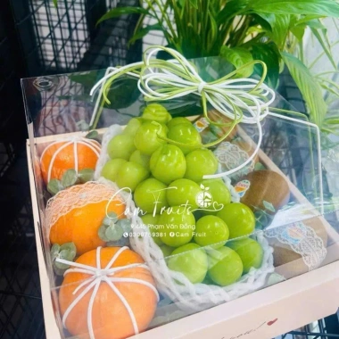 Combo 10 Bộ Hộp Vuông 27 Đựng Hoa Quả, Quà Tặng Nắp Mica và Túi Xách Thiết Kế Xưởng Gốc Giá 155k