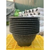 Combo 10 Chậu Nhựa Phúc Lộc Thọ T33 Đen Đá - Trồng Cây, Hoa & Bonsai Giá 86.600₫ 5