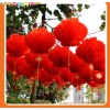 Combo 10 đèn Lồng Đỏ Chữ Phúc Cầu Nilong - Trang Trí Đám Cưới, Trung Thu, Lễ Hội 7.900₫ 2