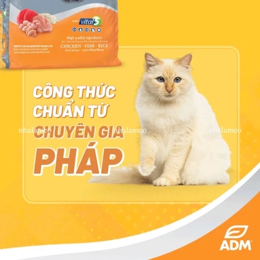 Combo 10 Gói 350g Hạt MININO PLUS Cho Mèo Trưởng Thành - Giá chỉ 197k, Dinh Dưỡng Cao