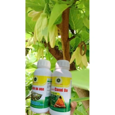 Combo 10 Hoa + 10 Canxi - Hoa, Chống Rụng Thui, Hiệu Quả Cây - 1,26 triệu