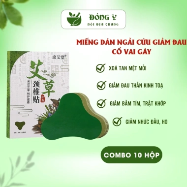 Combo 10 Hộp 12 Miếng Dán Ngải Cứu Cổ Vai Gáy Toàn Thân - Giá chỉ 81.490₫