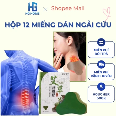 Combo 10 Hộp Dán Ngải Cứu 12 Miếng Giảm Đau Cổ Vai Gáy Nhanh HGHOME 54.900 VND