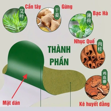 Combo 10 Hộp Dán Ngải Cứu 120 Miếng - Giảm Đau Cổ Vai Lưng Khớp Đầu, Giá chỉ 79.900 VND