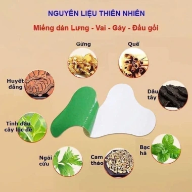 Combo 10 Hộp Dán Ngải Cứu 120 Miếng - Giảm Đau Cổ Vai Lưng Khớp Đầu, Giá chỉ 79.900 VND