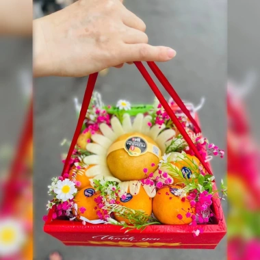 Combo 10 Hộp Mica Đựng Hoa Quả Trái Cây, Quai Xách Lụa Họa Tiết Cao Cấp - 145.000 VND