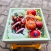 Combo 10 Hộp Mica Đựng Trái Cây + Túi Giấy ALL THE BEST - Đựng Quà, Yến Chưng, Hoa Quả, Giá ưu đãi 145k 5