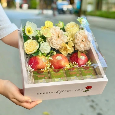 Combo 10 Hộp Mica Đựng Trái Cây + Túi Giấy ALL THE BEST - Đựng Quà, Yến Chưng, Hoa Quả, Giá ưu đãi 145k