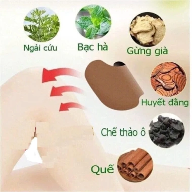 Combo 10 Hộp Miếng Dán Vai Gáy Ngải Cứu 12 Miếng/Hộp - Giảm Đau Lưng, Giá 109.000đ