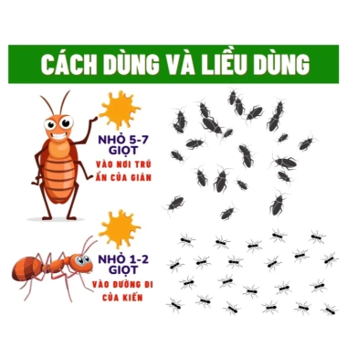 Combo 10 Lọ Diệt Kiến Dạng Nước – Hiệu Quả Nhanh, Diệt Đàn 24h, Dùng Nội & Ngoại Trời 3