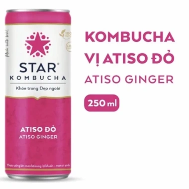 Combo 10 lon Star Kombucha 250ml 6 vị cam đào, vải kiwi, ổi hồng, dâu tây, lưu đỏ, atiso đỏ - Giá 399.000₫ 5