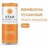 Combo 10 lon Star Kombucha 250ml 6 vị cam đào, vải kiwi, ổi hồng, dâu tây, lưu đỏ, atiso đỏ - Giá 399.000₫ 8
