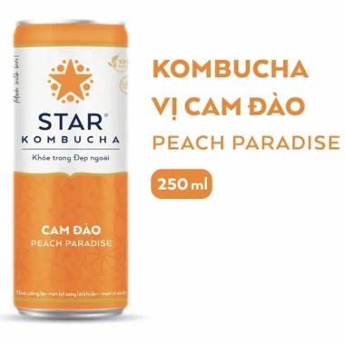 Combo 10 lon Star Kombucha 250ml 6 vị cam đào, vải kiwi, ổi hồng, dâu tây, lưu đỏ, atiso đỏ - Giá 399.000₫ 8
