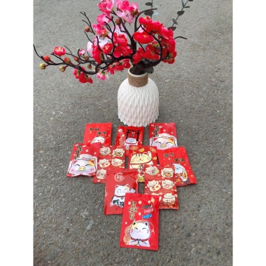 Combo 10 Phong Bao Lì Xì Tết Hot Trend 2.025 - Túi Mù Đẹp, Giá chỉ 6.000₫ 6 Combo 10 Phong Bao Lì Xì Tết Hot Trend 2.025 - Túi Mù Đẹp, Giá chỉ 6.000₫ 6