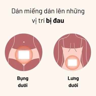 Combo 10 tặng 1 Miếng Dán Giữ Nhiệt Giảm Đau Bụng Kinh 7 miếng - 8h ấm, Gừng & Ngải Cứu, Giá 1.050.000₫ 5 Combo 10 tặng 1 Miếng Dán Giữ Nhiệt Giảm Đau Bụng Kinh 7 miếng - 8h ấm, Gừng & Ngải Cứu, Giá 1.050.000₫ 5
