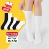 Combo 10 Tất Vớ Cổ Cao Unisex Nam Nữ SocksWorld Êm Ái Dày Dặn Thoáng Khí - 85k