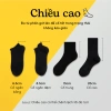 Combo 10 Tất Vớ Cổ Cao Unisex Nam Nữ SocksWorld Êm Ái Dày Dặn Thoáng Khí - 85k 2