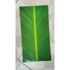 Combo 10 tờ giấy gói lá dong, lá chuối, bánh chưng giả 31x61cm đẹp, chỉ 39.000₫ 3