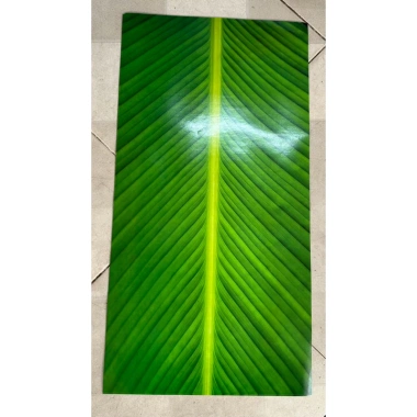 Combo 10 tờ giấy gói lá dong, lá chuối, bánh chưng giả 31x61cm đẹp, chỉ 39.000₫ 4