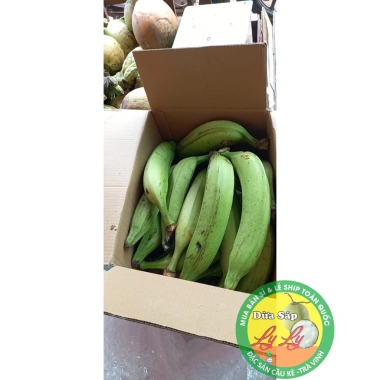 Combo 10 trái tá quà loạ đặc biệt - Giá ưu đãi 130.000đ, chỉ 159.900đ