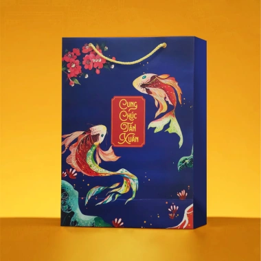Combo 10 Túi Đựng Quà Tết Giấy I250 Dày Cứng Dây Quai Xách - Túi Tết Đựng Giỏ Quà 120k 3