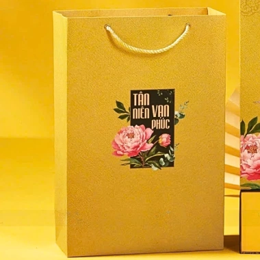 Combo 10 Túi Đựng Quà Tết Giấy I250 Dày Cứng Dây Quai Xách - Túi Tết Đựng Giỏ Quà 120k 6
