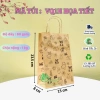 Combo 10 Túi Giấy Kraft Họa Tiết Đa Màu - Túi Đựng Quà Giá 13.900 VNĐ 10