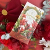 Combo 10 vỏ trà Spring không lõi, 4 màu, quà Tết giỏ trang trí - 29.000đ 5