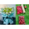Combo 100 Đế Nhựa + Que Tre - Nắp Đỡ Hoa Quả, Bánh Kẹo, Giỏ Quả - Giá 42.000₫ 4