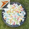 Combo 100g Kẹo Trái Cây Bốn Mùa Siêu Cute - Sẵn Hàng Giá Ưu Đãi 16.500₫ 7