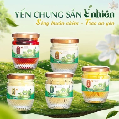 Combo 10/20 hũ yến chưng nguyên chất - Đông trùng hạ thảo, đường phèn, hạt chia, táo đỏ, mật dừa, giá ưu đãi 700.000đ