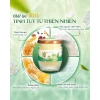 Combo 10/20 hũ yến chưng nguyên chất - Đông trùng hạ thảo, đường phèn, hạt chia, táo đỏ, mật dừa, giá ưu đãi 700.000đ 2