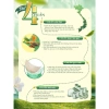 Combo 10/20 hũ yến chưng nguyên chất - Đông trùng hạ thảo, đường phèn, hạt chia, táo đỏ, mật dừa, giá ưu đãi 700.000đ 3