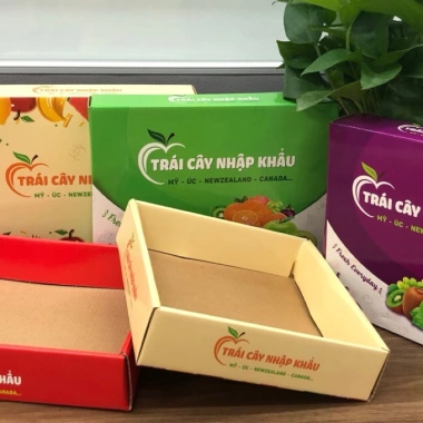Combo 10c Loại Dày - Khay Giấy Đựng Hoa Quả Size 1kg 3kg 5kg, Hộp Cứng Cáp Giá 45.000