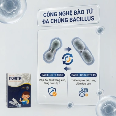 Combo 10h + 2h Men Vi Sinh Norita cho Bé - Lợi khuẩn hỗ trợ tiêu hoá, 15 ống - 1.750.000 VND 3