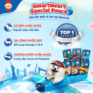 Combo 12 gói SmartHeart Thức ăn ướt cho chó + Set nón yếm - Pate 130/120g - 237k 5