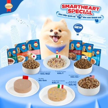 Combo 12 gói SmartHeart Thức ăn ướt cho chó + Set nón yếm - Pate 130/120g - 237k 8