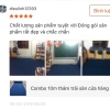 Combo 12m2 Thảm Trải Sàn Văn Phòng Cửa Hàng - Giá 298.000, Siêu Bền, Dễ Vệ Sinh 3
