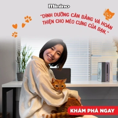 Combo 15 Gói MININO Hải Sản 350g – Thức ăn mèo mọi lứa tuổi, giao 21H, giá 170.000₫ 9 Combo 15 Gói MININO Hải Sản 350g – Thức ăn mèo mọi lứa tuổi, giao 21H, giá 170.000₫ 9