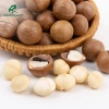 Combo 1.5Kg Macca Đắk Lắk 3 túi Mẹ Rô - Hồ sơ công bố, xuất hoá đơn, giá ưu đãi 410.000₫ 8