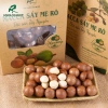 Combo 1.5Kg Macca sấy chín (còn vỏ) 3 lon/túi - Hồ sơ công bố, xuất hóa đơn, chỉ 410.000₫