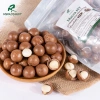 Combo 1.5Kg Macca sấy chín (còn vỏ) 3 lon/túi - Hồ sơ công bố, xuất hóa đơn, chỉ 410.000₫ 3