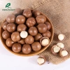 Combo 1.5Kg Macca sấy chín (còn vỏ) 3 lon/túi - Hồ sơ công bố, xuất hóa đơn, chỉ 410.000₫ 4
