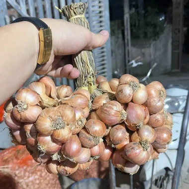 Combo 1kg Hành Củ + 1kg Tỏi Củ Kinh Môn - Thơm Nồng Đậm Vị - Giá ưu đãi 108k 6 Combo 1kg Hành Củ + 1kg Tỏi Củ Kinh Môn - Thơm Nồng Đậm Vị - Giá ưu đãi 108k 6